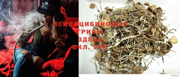 прущие крисы Балахна