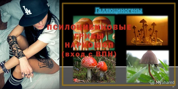 молекула духа Балабаново