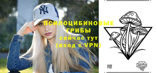 прущие крисы Балахна