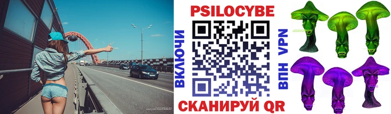 Галлюциногенные грибы Cubensis  Строитель 